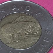 Macro-3