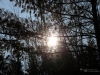 Flare