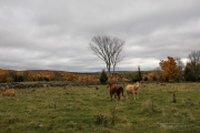 On the Road Again-5