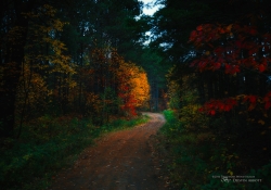 Just Around the Bend