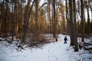 Image Samples-15