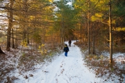 Image Samples-17