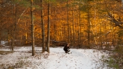 Image Samples-19