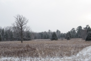 Image Samples-2