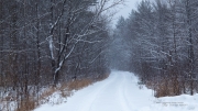 Image Samples-23