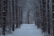Image Samples-30