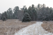 Image Samples-4