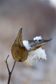 Image Samples-5