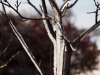 Image Samples-11