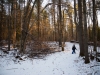 Image Samples-15