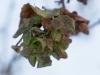 Image Samples-18