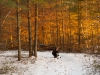 Image Samples-19