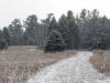 Image Samples-4