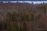 sharpness crops-3