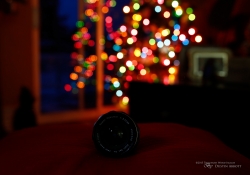 Bokeh Sequence-2