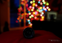 Bokeh Sequence-3