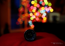 Bokeh Sequence-4