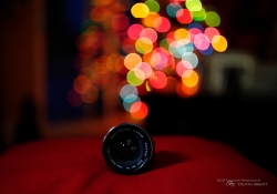 Bokeh Sequence-5