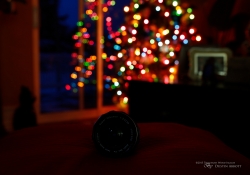 Bokeh Sequence
