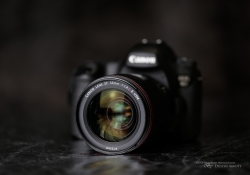 Product Shots-8