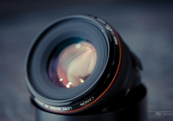 25 Canon 50L Build-2.jpg