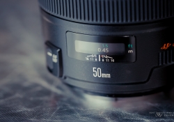 25 Canon 50L Build-4.jpg