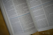 Text Torture Test-3.jpg