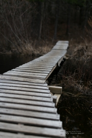 Unprocessed Favorites-12.jpg