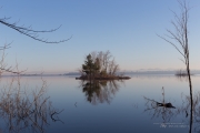 Unprocessed Favorites-16.jpg