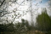 Unprocessed Favorites-27.jpg