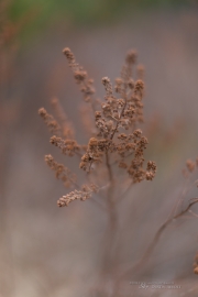 Unprocessed Favorites-3.jpg