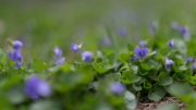 Unprocessed Favorites-35.jpg