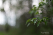 Unprocessed Favorites-36.jpg