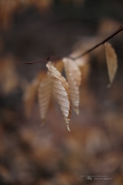 Unprocessed Favorites-4.jpg