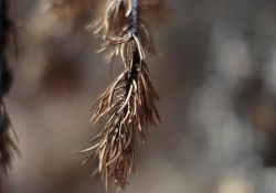 Unprocessed Favorites-14.jpg