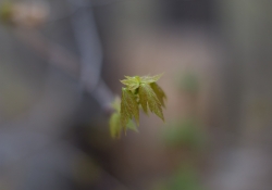 Unprocessed Favorites-18.jpg