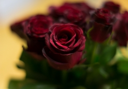 Unprocessed Favorites-33.jpg