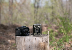 Bokeh Series-4.jpg