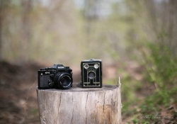 Bokeh Series.jpg