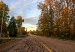 Step This Way for Autumn