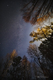 The BIG Picture (Laowa 12mm f/2.8 Zero D)