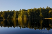 5D4 Nature-17