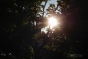 5D4 Nature-2