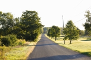 5D4 Nature-4