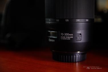 Tamron SP 70-300mm F/4-5.6 Di VC USD for Nikon - International Version (No  Warranty)