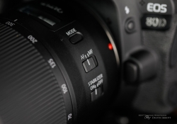 Canon 70-300 Product-11