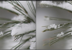 Zeiss Microcontrast 2
