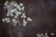 Winter Hike-7