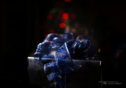 A Pleasant Surprise (Canon 35L II)