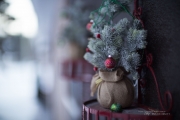 Canon 50mm 1L Samples